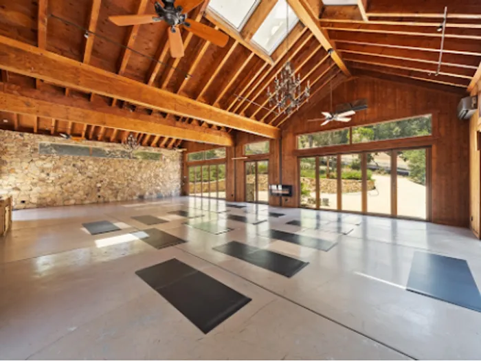 Open studio room with a timber ceiling